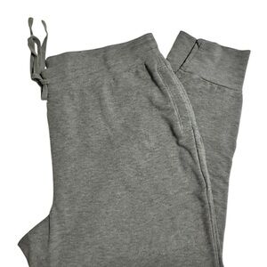 Fabletics Heather Gray Joggers 1X